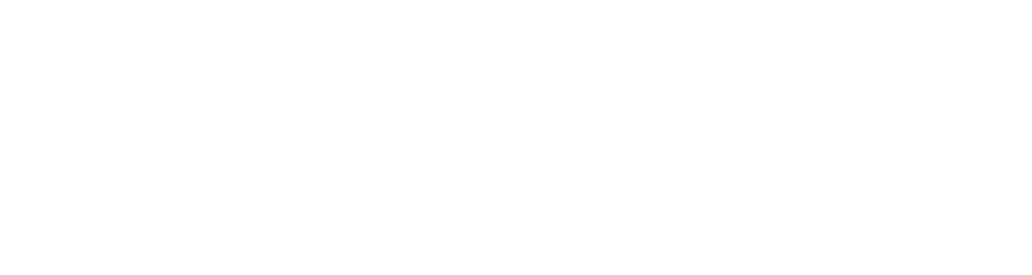 Basi France